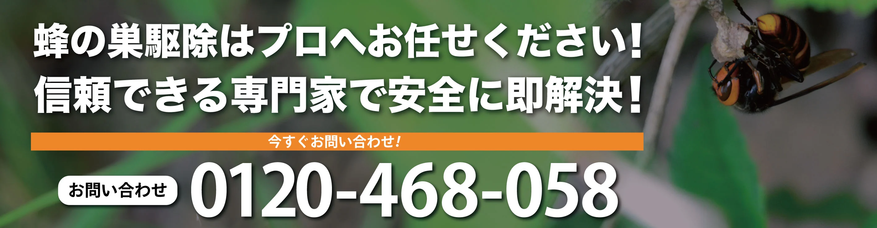 ハチの駆除も受け付けております！