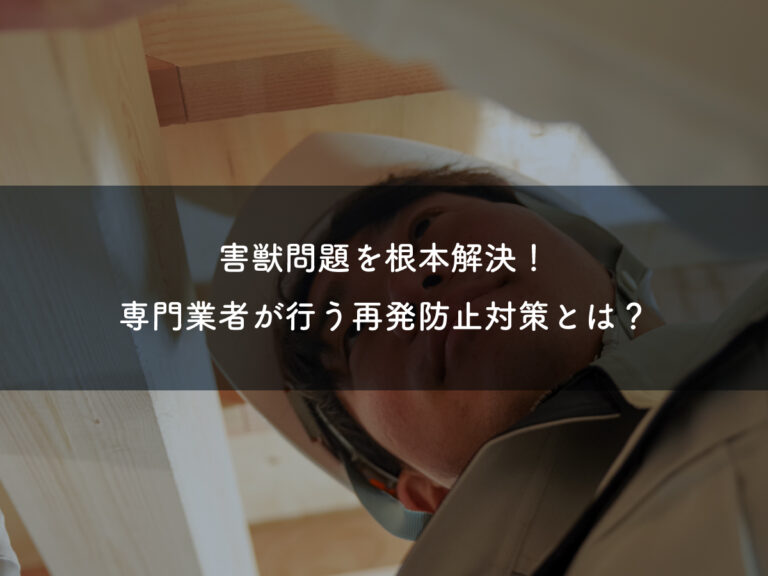 害獣問題を根本解決！専門業者が行う再発防止対策とは？