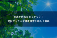 家族が病気になるかも！？害獣がもたらす健康被害を詳しく解説