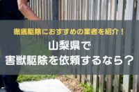 ①山梨県で害獣駆除を依頼するなら？徹底駆除におすすめの業者を紹介！