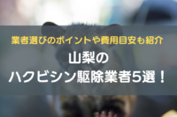 ③山梨のハクビシン駆除業者5選！業者選びのポイントや費用目安も紹介