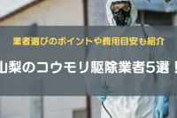 ④山梨のコウモリ駆除業者5選！業者選びのポイントや費用目安も紹介