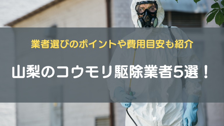 ④山梨のコウモリ駆除業者5選！業者選びのポイントや費用目安も紹介